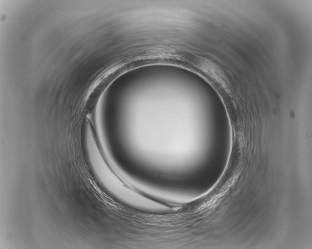 X0000059830781200510241420