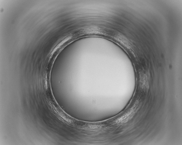 X0000059830782200510241420