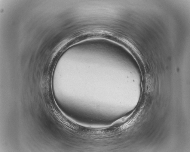 X0000059830783200510241420