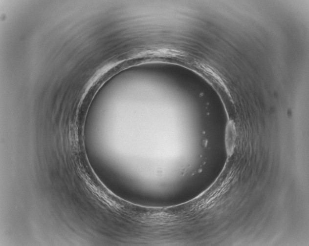 X0000059830784200510241420