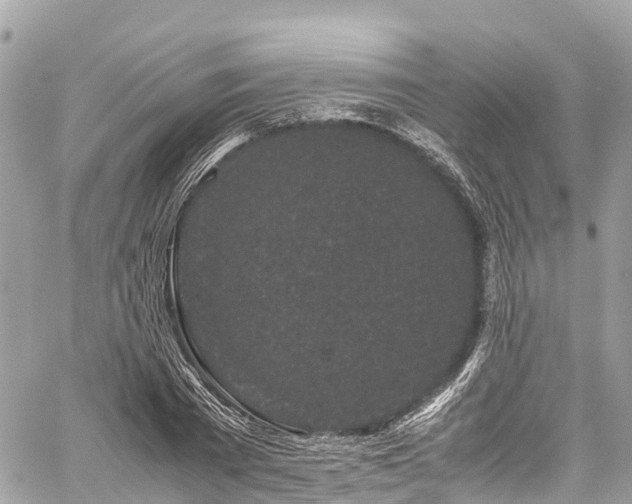 X0000059830785200510241420