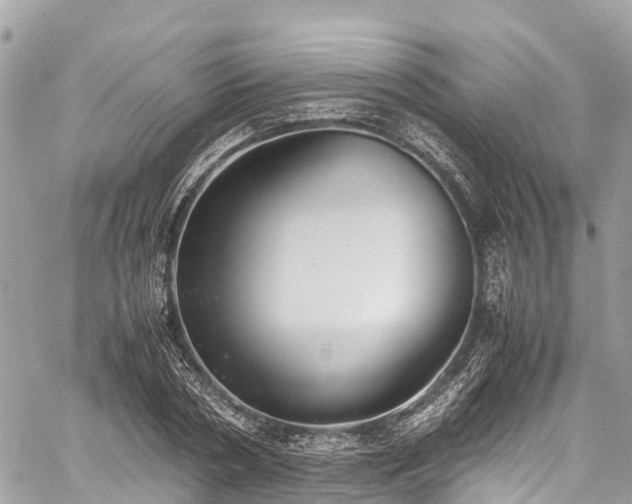 X0000059830786200510241420