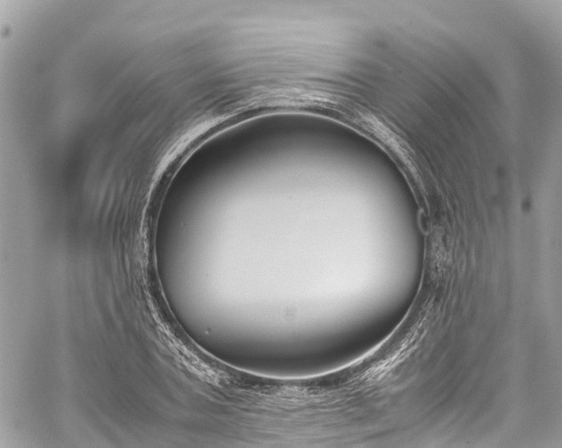 X0000059830787200510241420