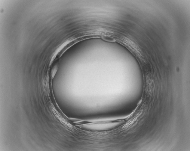 X0000059830788200510241420