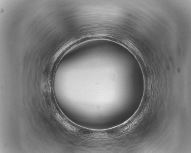 X0000059830789200510241420