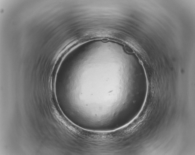 X0000059830790200510241420