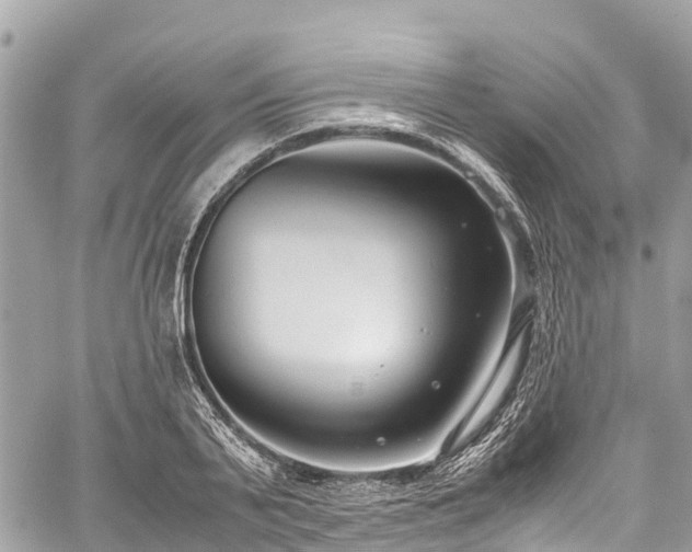 X0000059830791200510241420