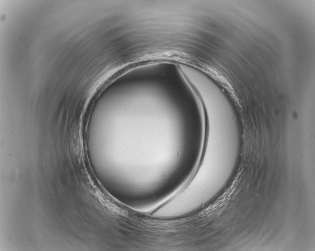 X0000059830792200510241420