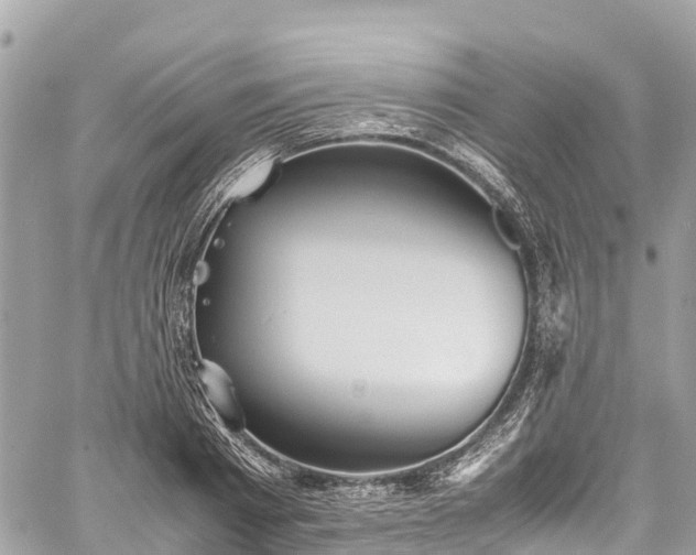 X0000059830793200510241420