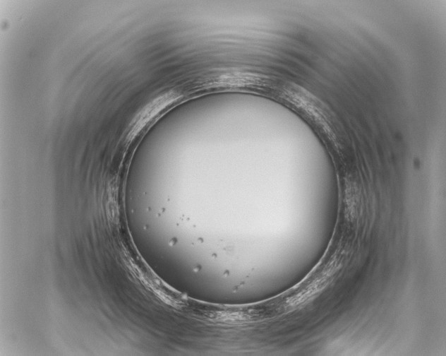 X0000059830794200510241420