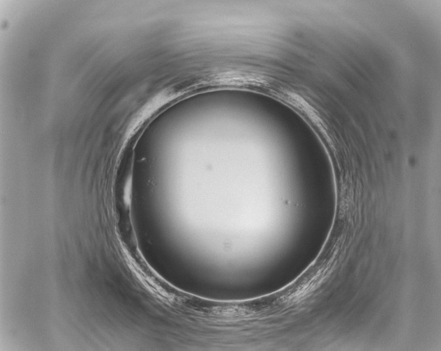 X0000059830795200510241420