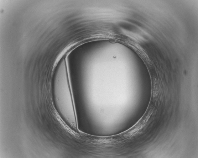 X0000059830796200510241420