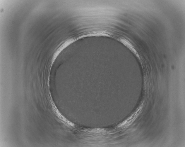 X0000059830797200510241420