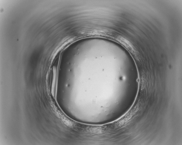 X0000059830798200510241420