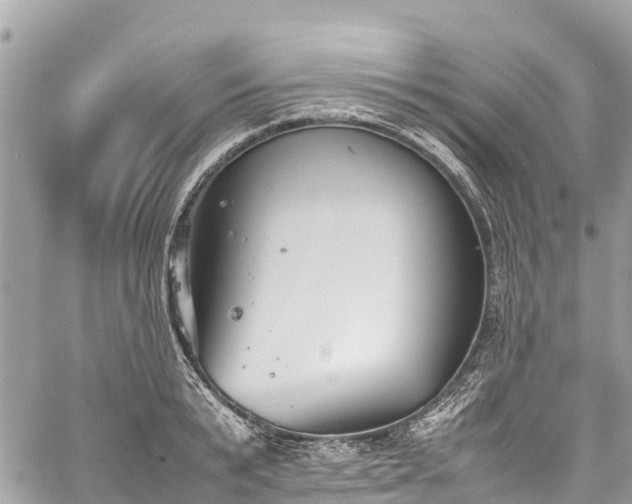 X0000059830799200510241420