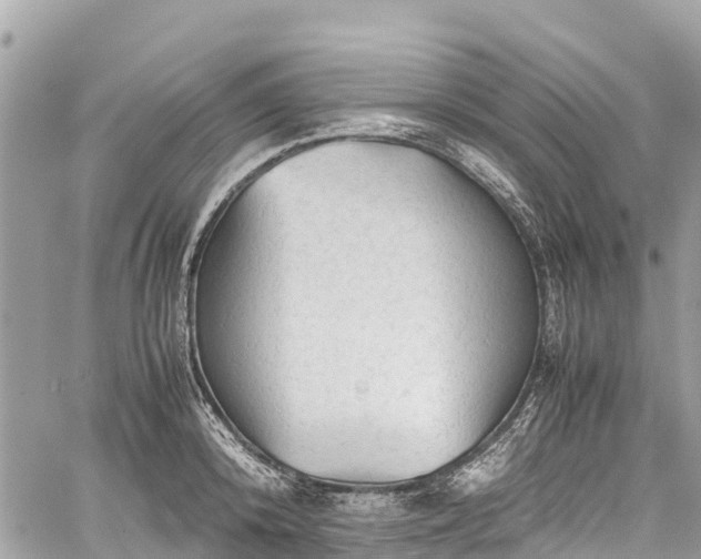 X0000059830800200510241420