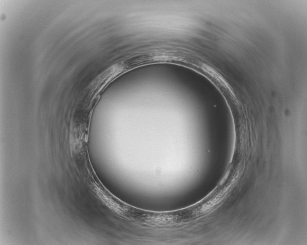 X0000059830801200510241419