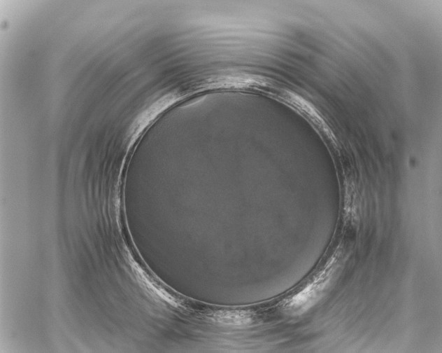 X0000059830802200510241419