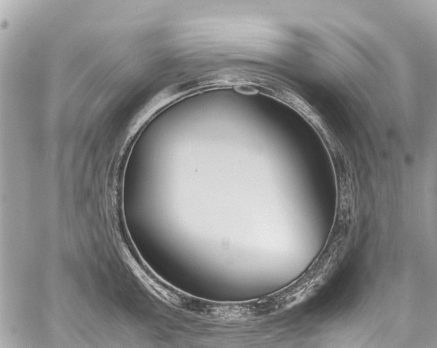 X0000059830803200510241419