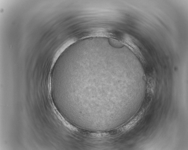 X0000059830804200510241419