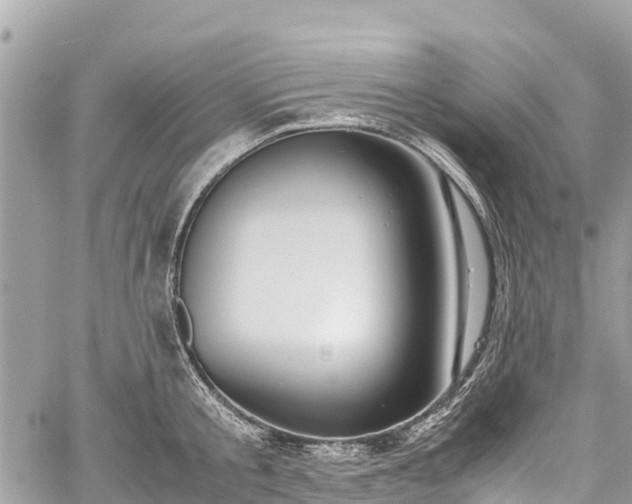 X0000059830805200510241419