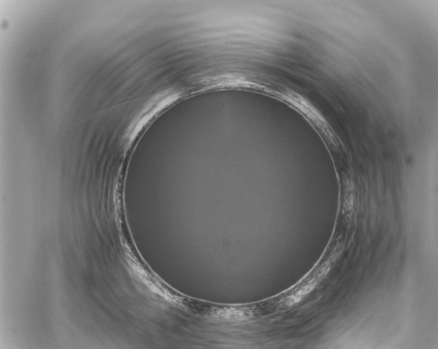 X0000059830806200510241419