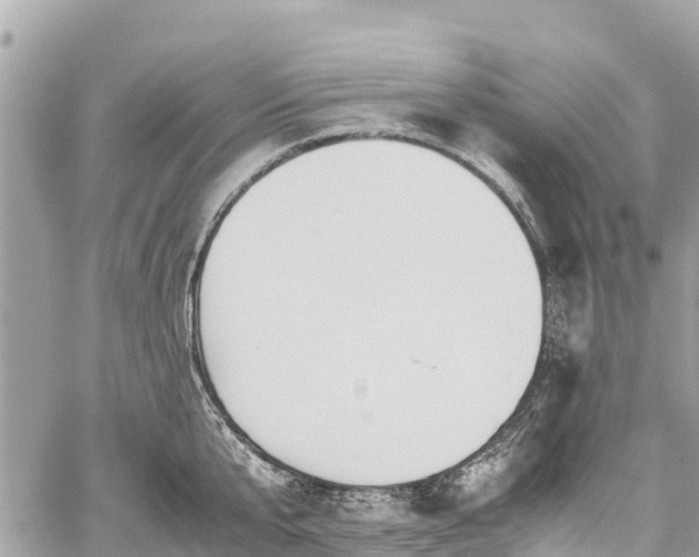 X0000059830807200510241419