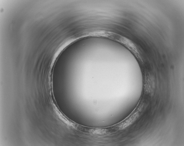 X0000059830808200510241419