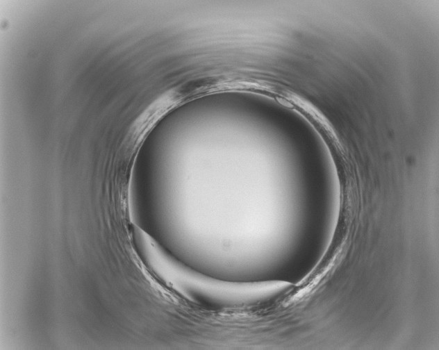 X0000059830809200510241419