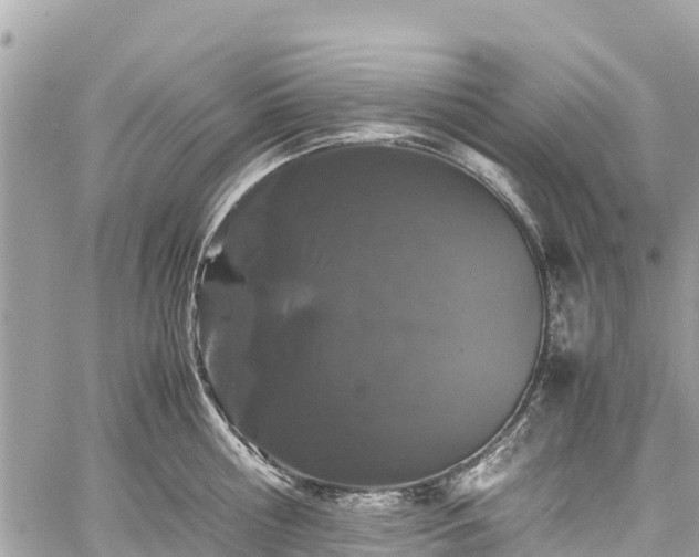 X0000059830810200510241419