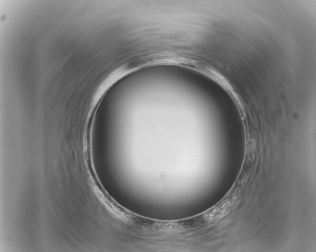 X0000059830811200510241419