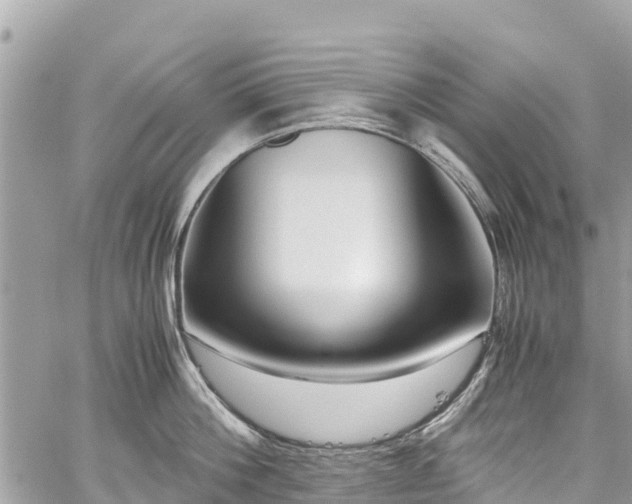 X0000059830812200510241419