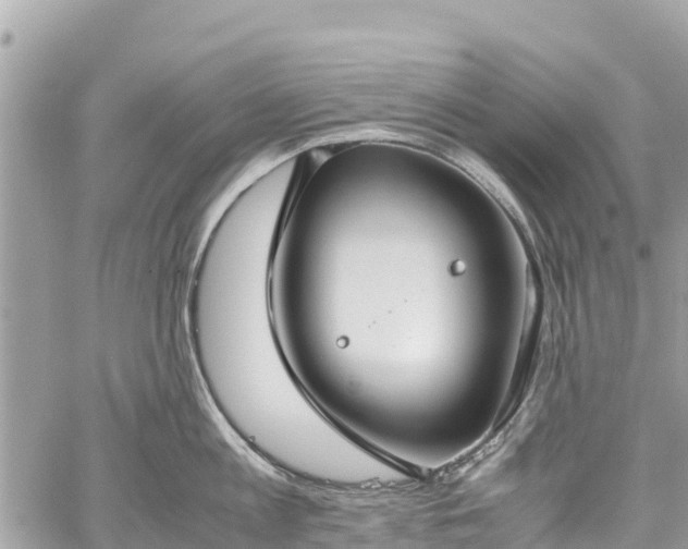 X0000059830813200510241419