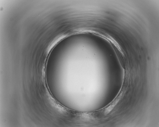 X0000059830814200510241419