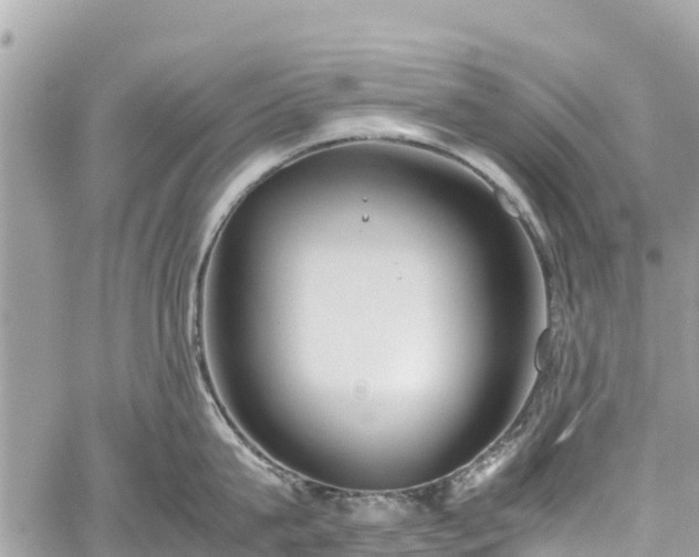 X0000059830815200510241419