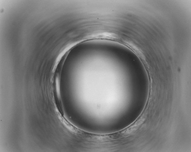 X0000059830816200510241419