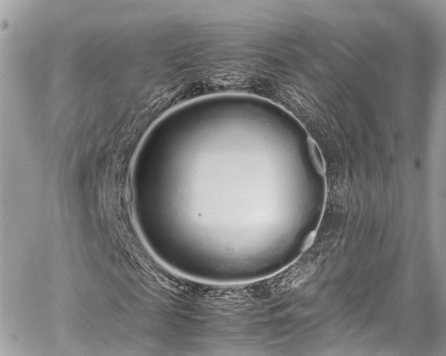 X0000059830817200510241418