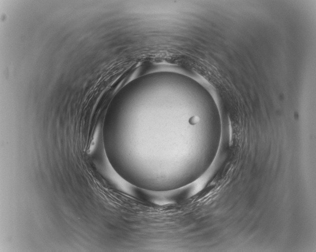 X0000059830818200510241418