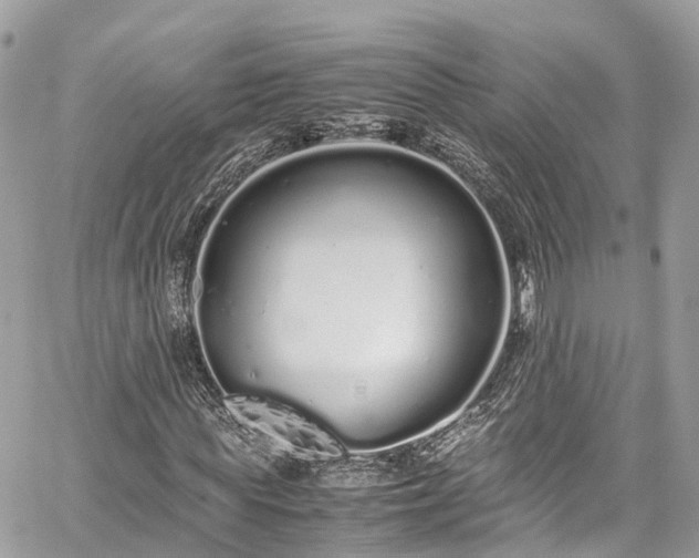 X0000059830819200510241418