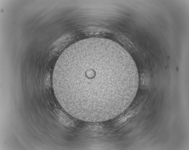 X0000059830820200510241418