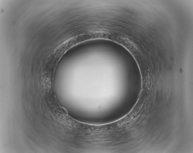 X0000059830821200510241419