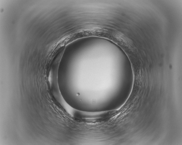 X0000059830822200510241419