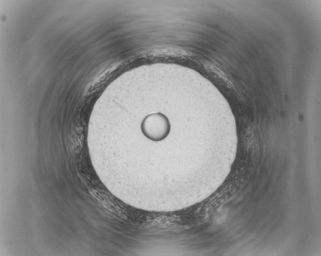 X0000059830824200510241419