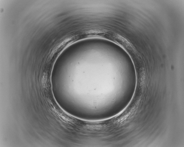 X0000059830825200510241419