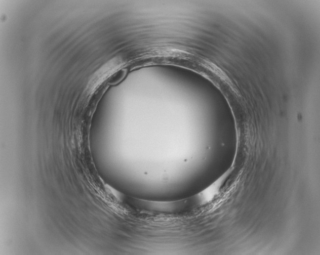 X0000059830826200510241419