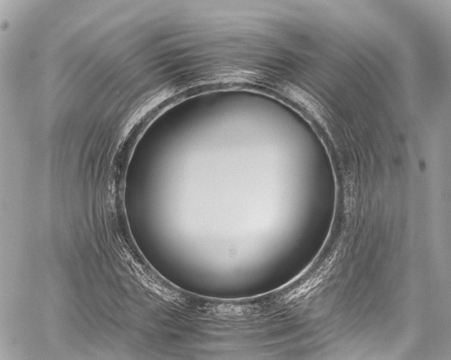 X0000059830827200510241419