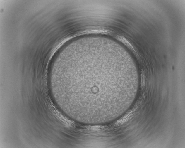 X0000059830828200510241419