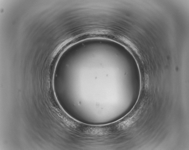 X0000059830829200510241419