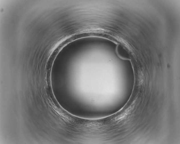 X0000059830830200510241419