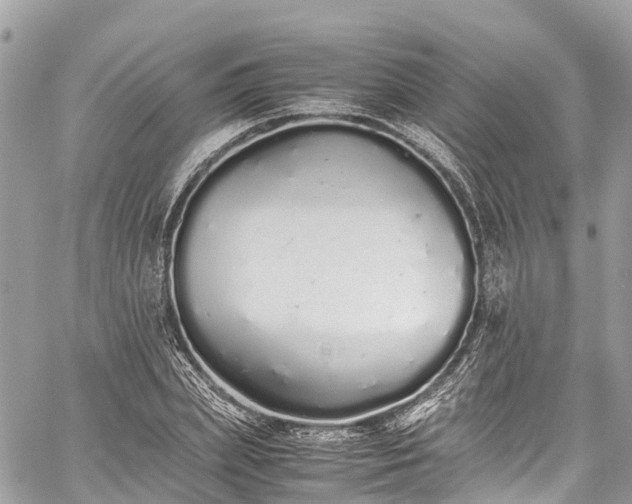 X0000059830831200510241419